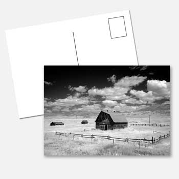 A5 Postcards