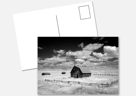 A5 Postcards
