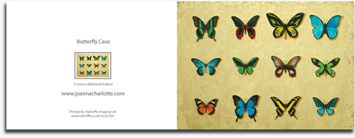 Greeting Card 127mm x 178mm Landscape - White border